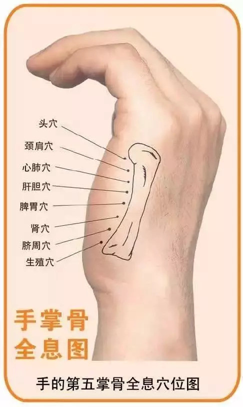 坐骨神经痛——按压痛点针对坐骨神经痛的穴道位于两腿后侧正中线上.