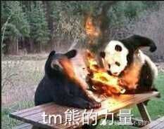 大熊猫就是传说中蚩尤的坐骑食铁兽?大熊猫:嗷!兽人永不为奴!