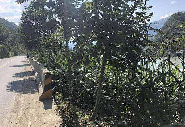 甘肃天价保费拒赔案重审:男子驾车溺亡,妻子讨