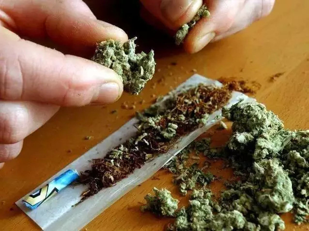 电脑病毒的危害_有什么危害_电脑病毒正网病毒会给电脑带来怎么样的危害