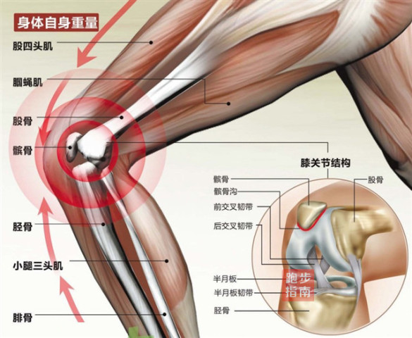 【健康】杜绝跑步膝,5分钟学会这6个黄金动作