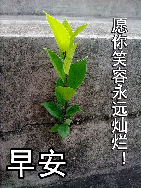 5月5日星期四群发的早上好祝福问候语及关心话大全 朋友圈好看的图片