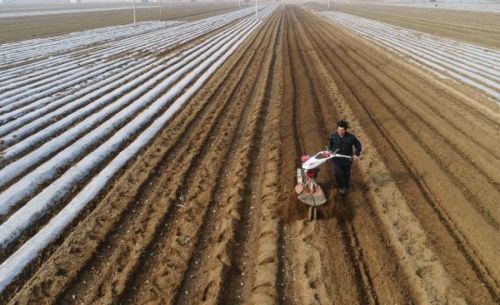 我国拟规定占用耕地建房等将缴税,5种情况占地