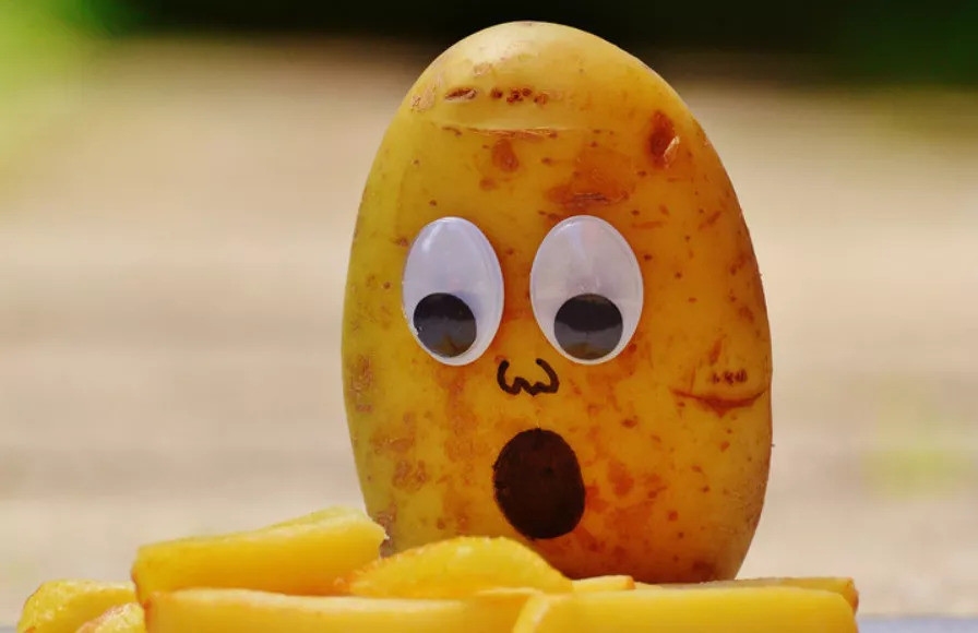 俩漂亮女租客退房后 房东竟发现屋内有200多只