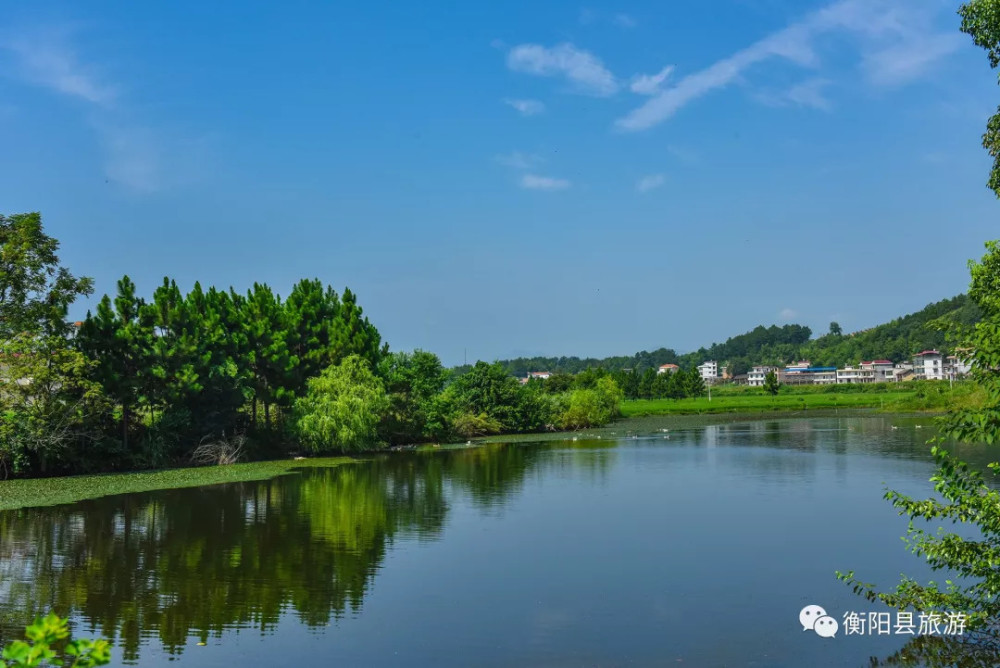 原来,衡阳县蒸水河流域有口成功塘