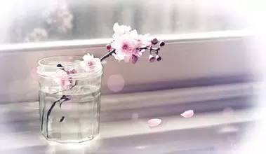 我也赞一下我的老公,老公辛苦了!