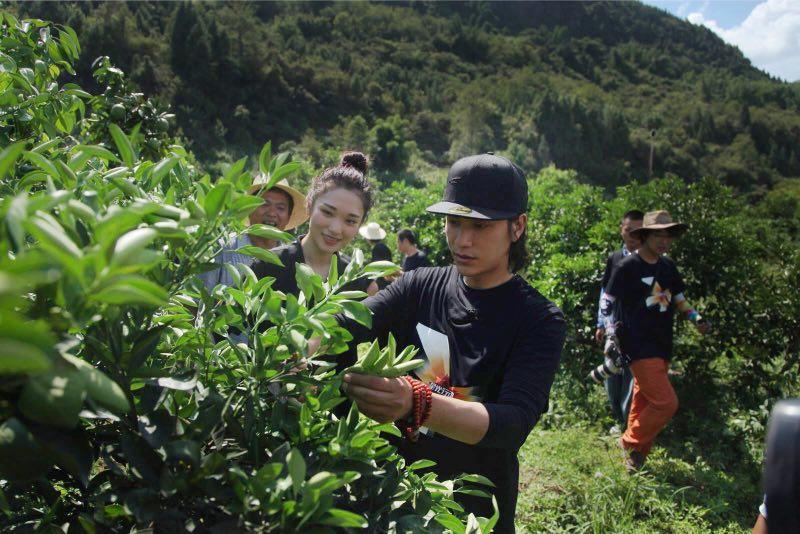 一线丨陈坤变土申大哥炒腊肉 扶贫重庆云阳分