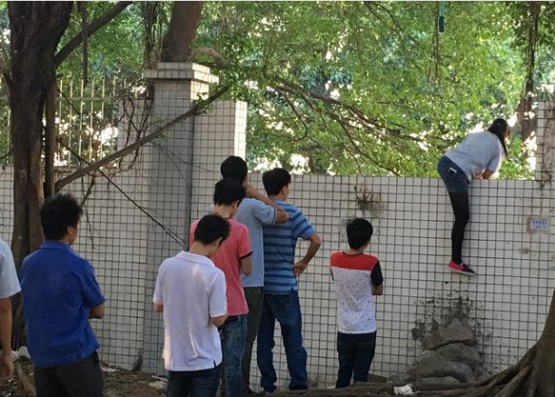 初二现象是什么?20年班主任告诉你:孩子沾上