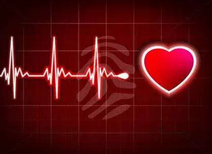 心跳决定寿命 每分钟跳多少下最长寿|心脏|冠心病|心率