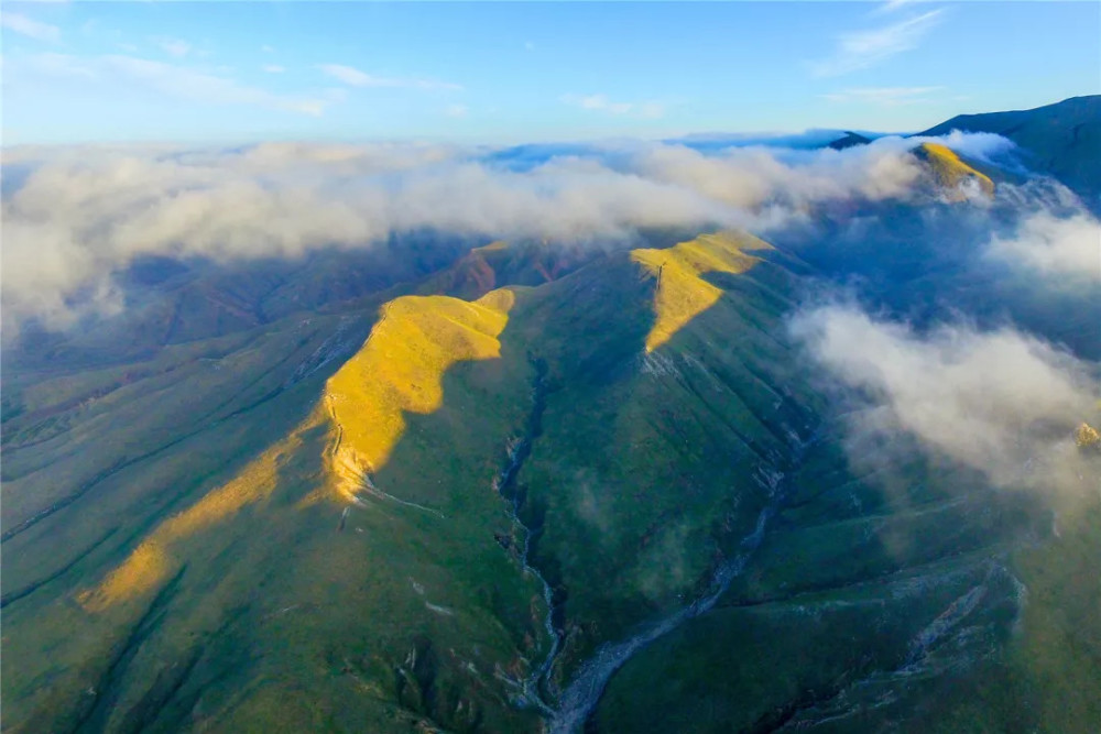 雨水也多了 宁夏境内大家熟知的 贺兰山,六盘山,罗山等 著名山脉更是