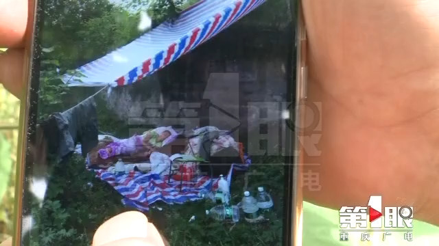 小伙子做着拥有一万亿的发财梦 在野地里住了