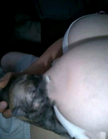 震惊<em>挤奶</em>门 <em>90后小妹挤奶喂小狗</em>_订阅_腾讯网