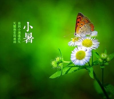 诗说小暑:烦躁时节 宜淡然处之