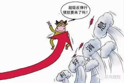 提前布局救市后招&超跌反弹,你应该怎么选基