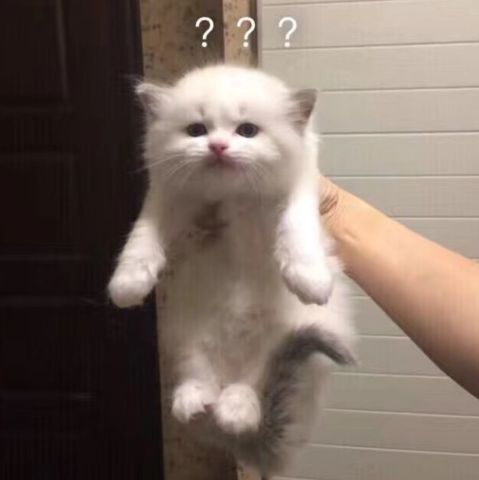640