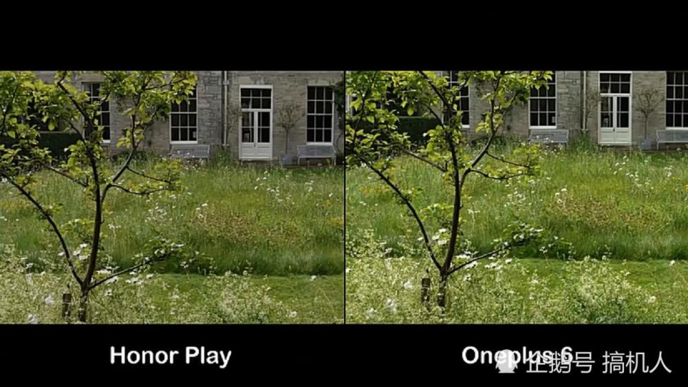 荣耀Play与一加手机6拍照对决:感觉差距好明显