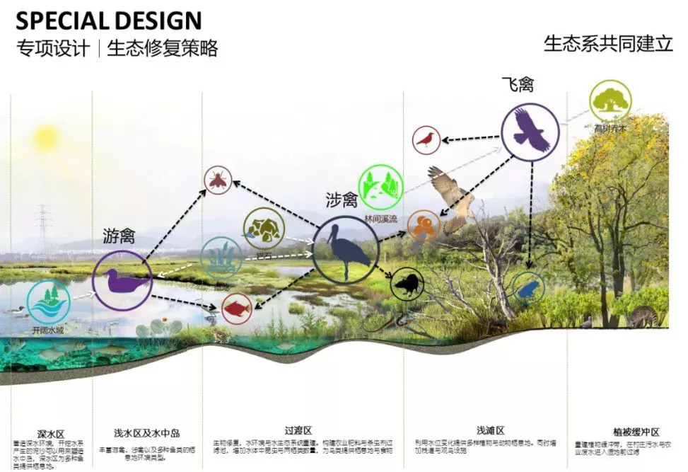 芒市各民族人口比例_黄金比例(3)