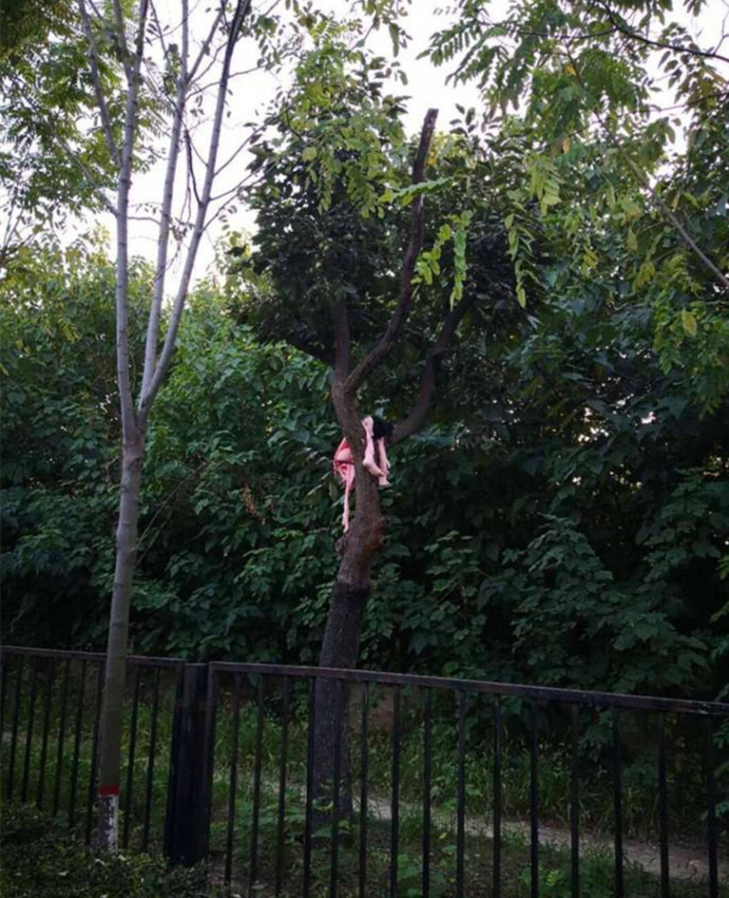 吓人!西安无聊人把充气娃娃挂在树上