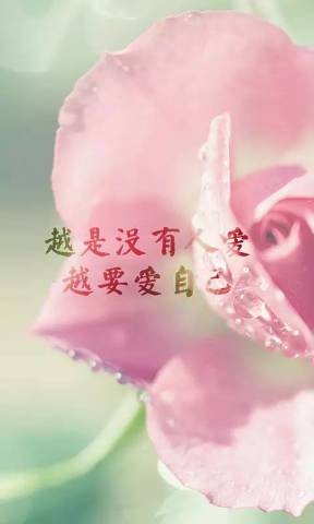 文字图片|越是没人爱,越要爱自己