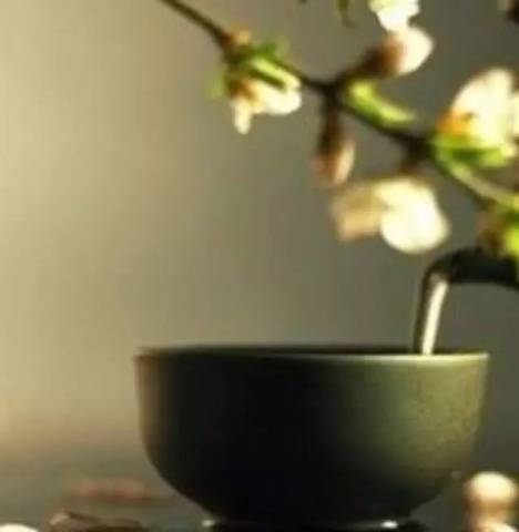 收藏 | 今日入伏 中医教您三伏天养生六大要诀!