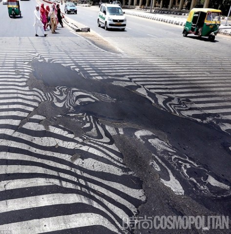 头伏热热热!20张你看一眼就会融化掉的图