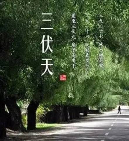 今天入伏,你准备好了吗?养生技巧get起来!