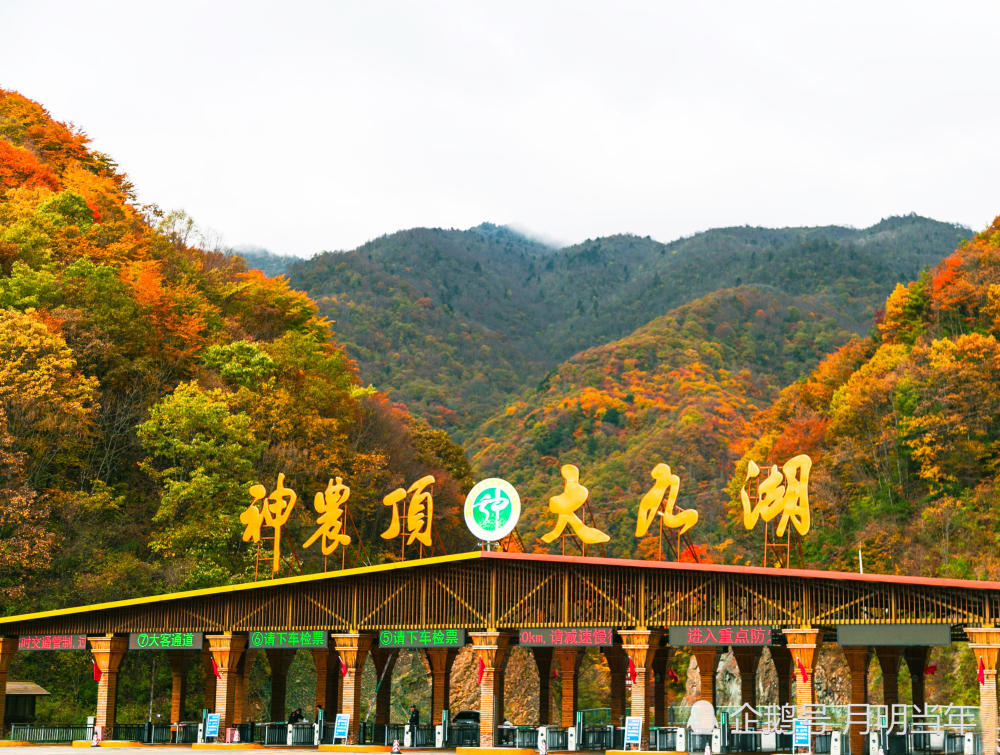 神农架六大景区全面降价 秋季风光动人心魄!