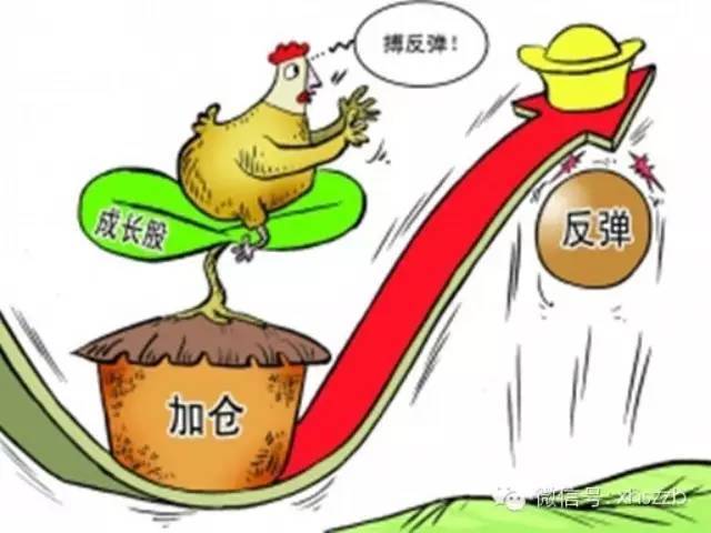 公募进场抢筹绩优成长股