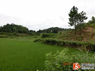 邵东农村人口_邵东农村别墅图片