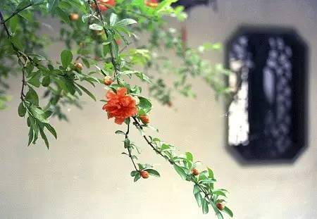 新刊| 姑苏,稚子回望旧城风月