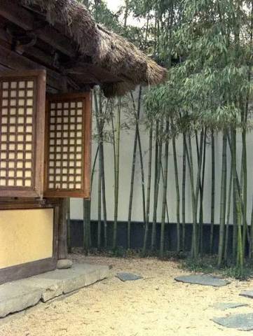 新刊| 姑苏,稚子回望旧城风月