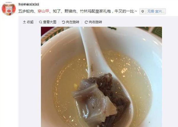 人类隔离才几天，河水清了，空气好了，动物回来了