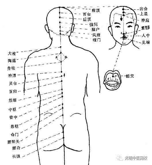 光明中医讲解督,任,冲脉