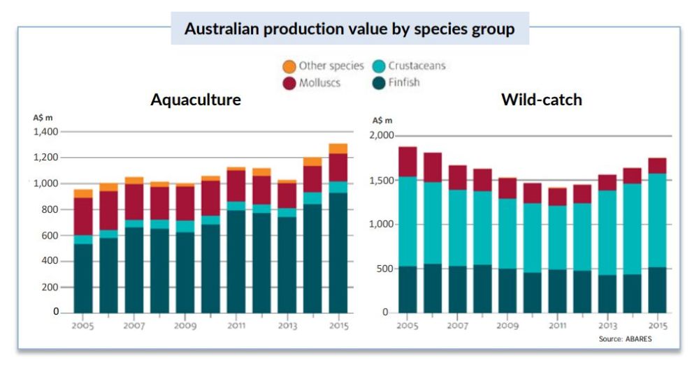 澳大利亚渔业产业概况(图源:fish 2.0)