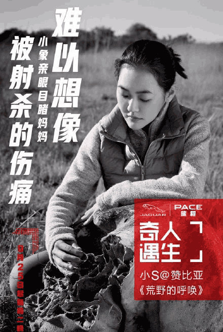 《奇遇人生》有料！小S到非洲收养大象? 春夏赴美朴树去古巴