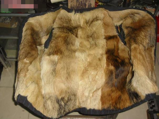 500万箱方便面换战机?还有一万套狗皮大衣!