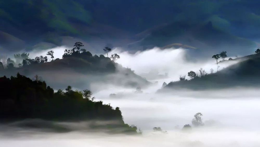 问君何能尔?心远地自偏. 采菊东篱下,悠然见南山.