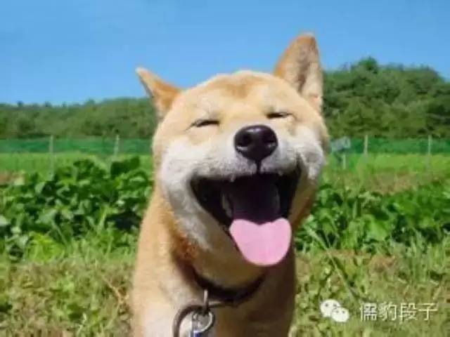 嫂子,优衣库啊?咱农村人不讲究,后边柴火垛就