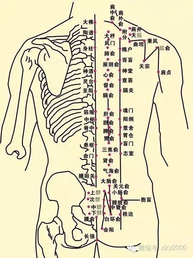 古人艾灸养生经验你应该懂