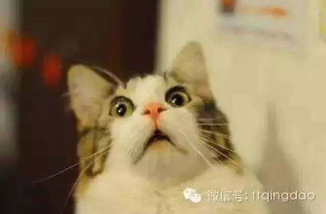 中.国最假的21句话,我被最后一句骗了二十多年