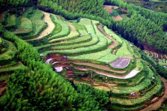 梯田、云海、瀑布,这座小城都有!