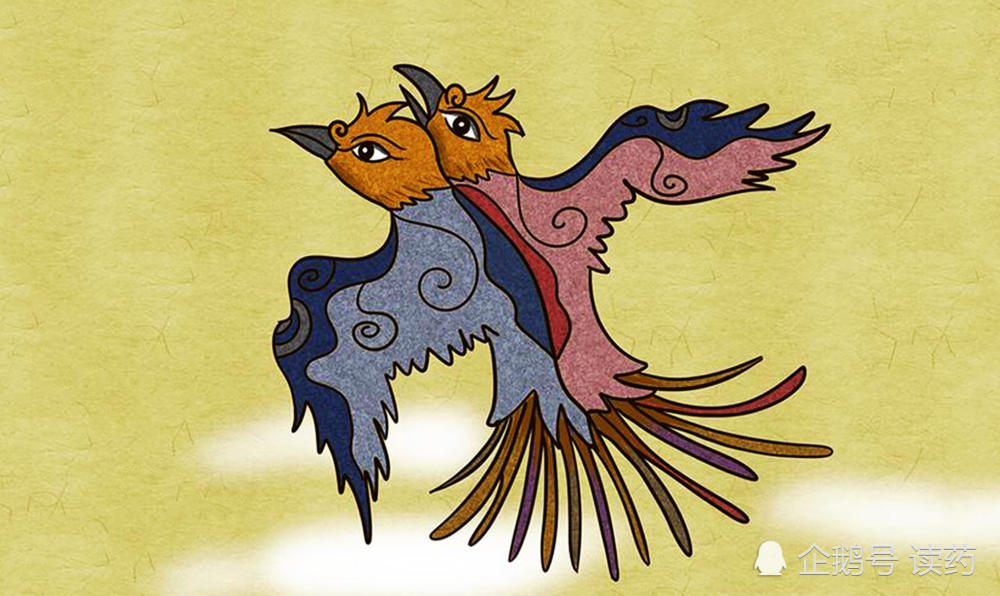 《山海经》比翼鸟蛮蛮,上古神兽还是怪鸟?它另一个