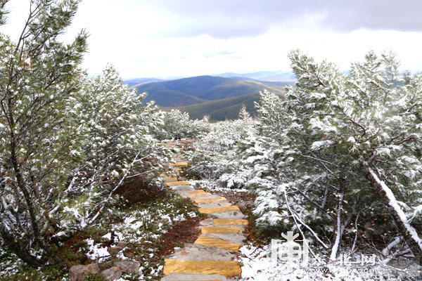 大兴安岭呼中白山景区降雪 山上冬季山下秋季