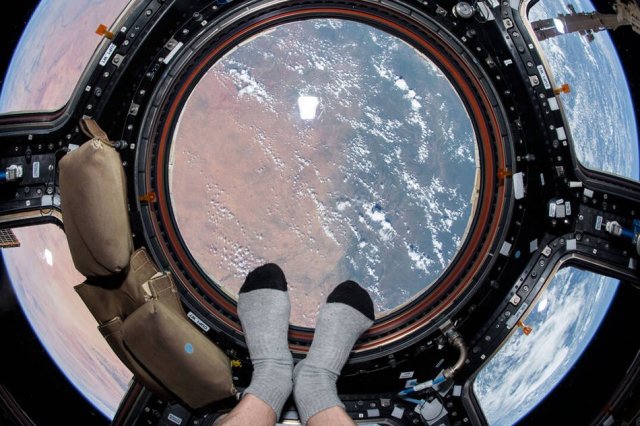 2015年7月9日,从国际空间站观察地球,宇航员脚下正是非洲的中部.