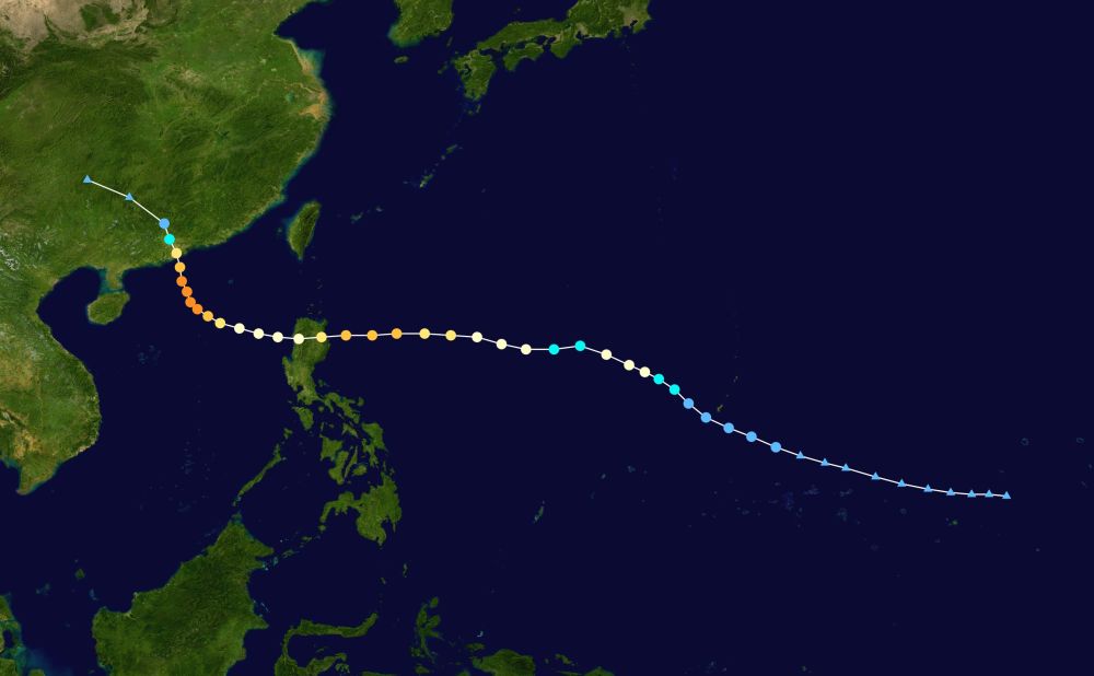 台风的排名_台风十子人气排名