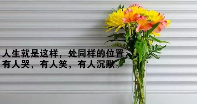 2021最新心情早安一句话语录 朋友圈最走心的说说