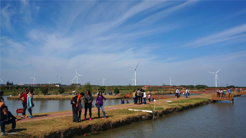 大闸蟹季节,阳澄湖风光,完美诠释秀色可餐