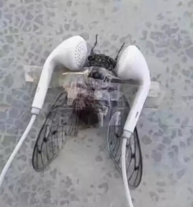 搞笑图片:备胎的最高境界,看着真让人同情这位小伙子
