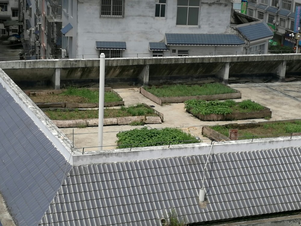 斜坡屋顶放个托盘,种花种菜还隔热,国内