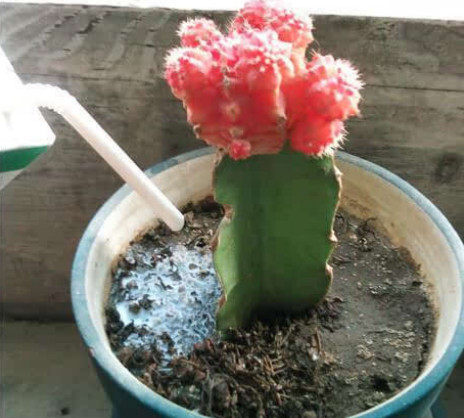 过期牛奶拥有超能力